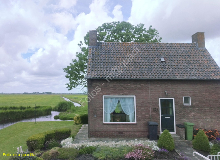 VOLENDAM (135)