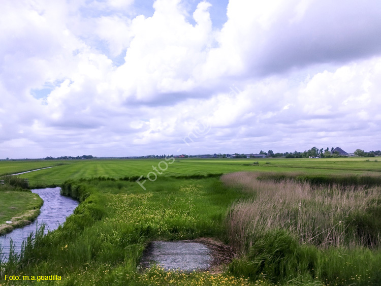 VOLENDAM (136)