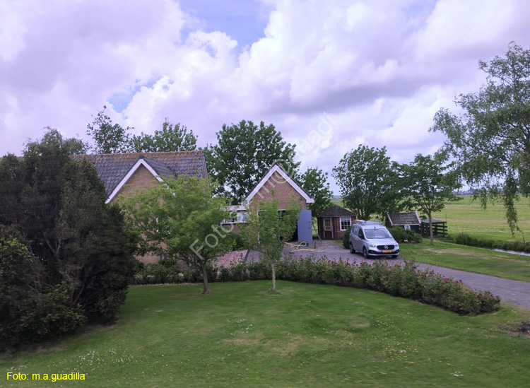 VOLENDAM (137)