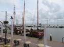 VOLENDAM (111)