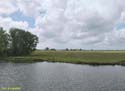 VOLENDAM (140)