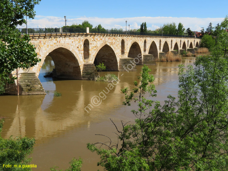 ZAMORA (444) Puente de Piedra