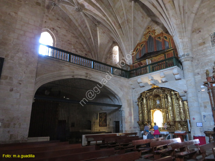ZAMORA (106) Iglesia de S. Pedro y S. Ildefonso