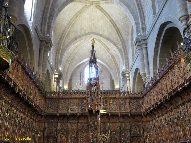 ZAMORA (361) Catedral