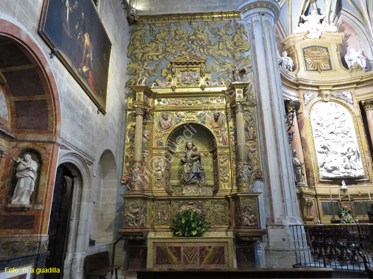 ZAMORA (370) Catedral