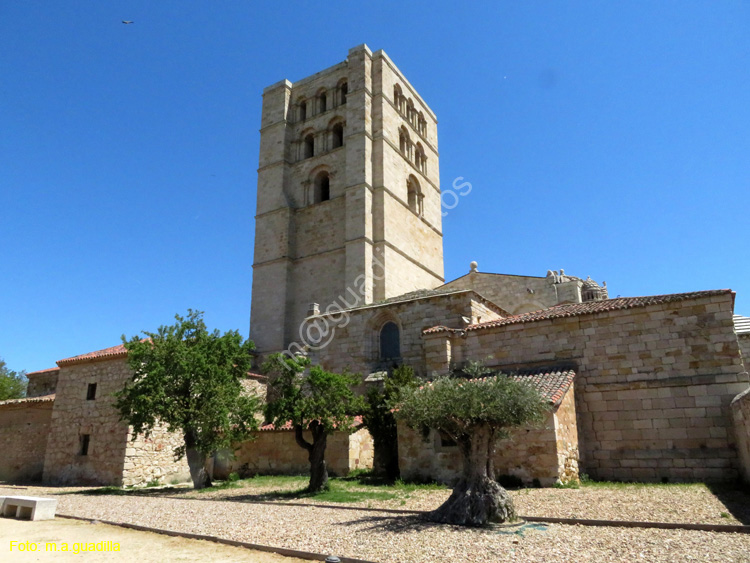 ZAMORA (384) Catedral