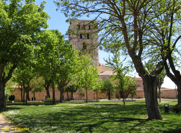 ZAMORA (387) Catedral