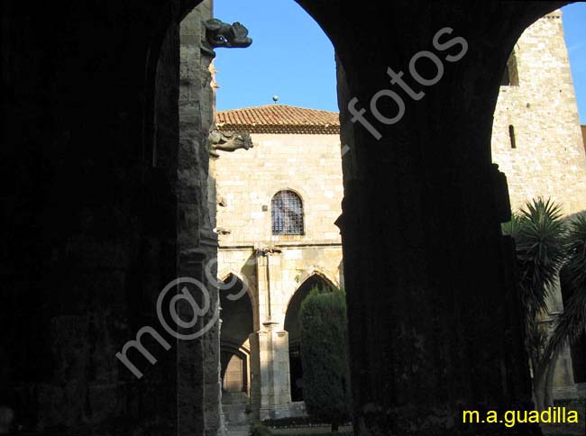 NARBONNE 025