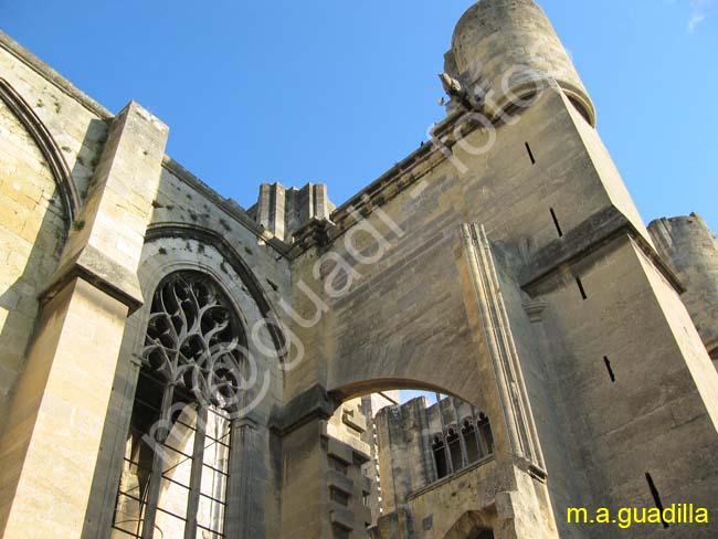 NARBONNE 029