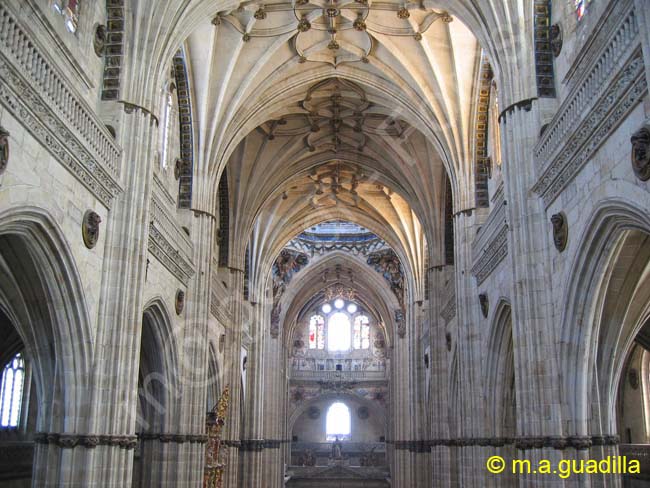 SALAMANCA - Catedral - subida torres 016 Catedral Nueva