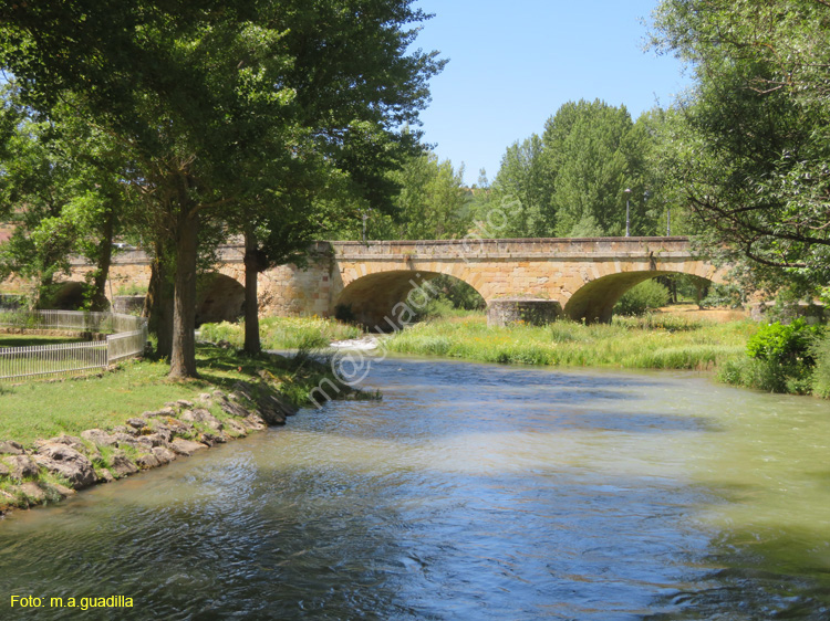 AGUILAR DE CAMPOO (156) Puente Mayor