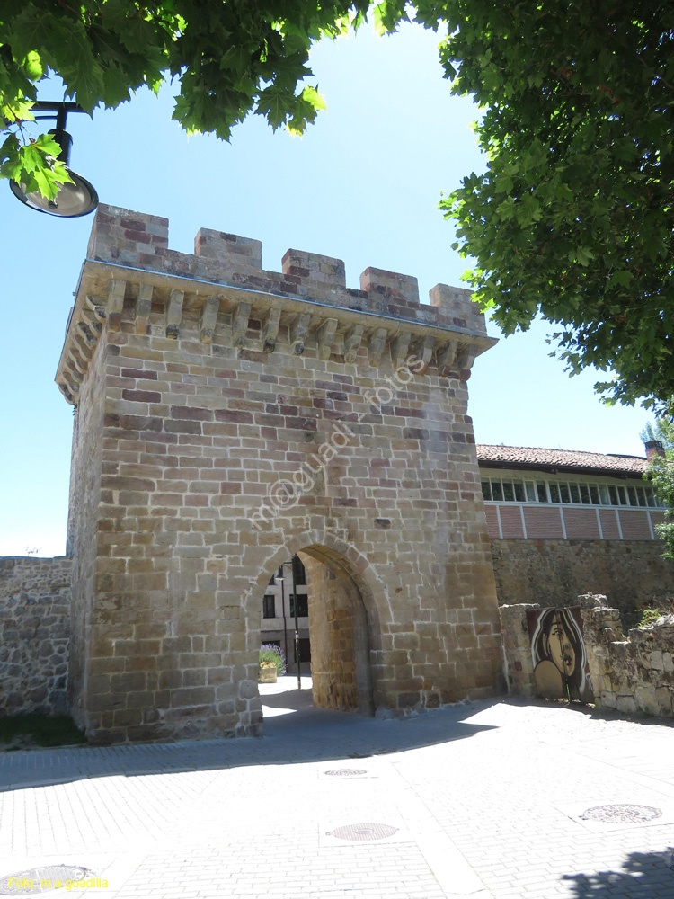 AGUILAR DE CAMPOO (163) Puerta del Paseo Real