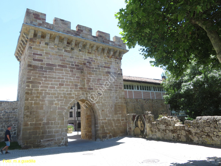 AGUILAR DE CAMPOO (164) Puerta del Paseo Real