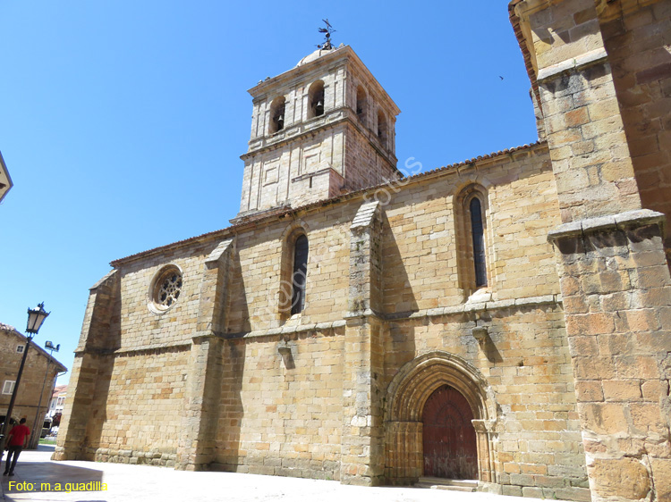 AGUILAR DE CAMPOO (194) Colegiata de San Miguel