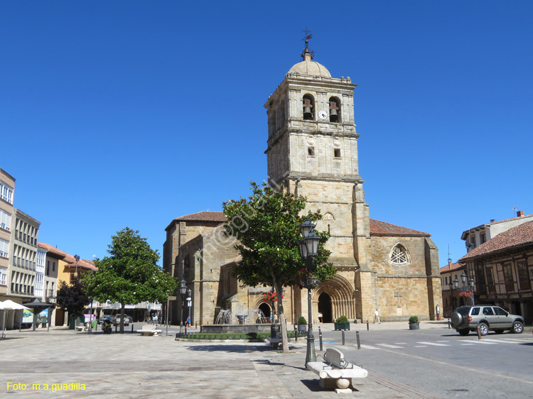 AGUILAR DE CAMPOO (195) Colegiata de San Miguel