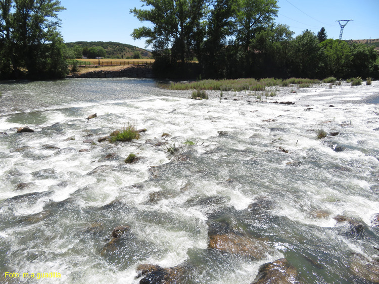 AGUILAR DE CAMPOO (275) 