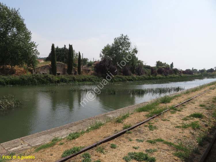 ALAR DEL REY (106) Canal de Castilla