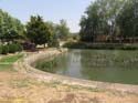 ALAR DEL REY (105) Canal de Castilla