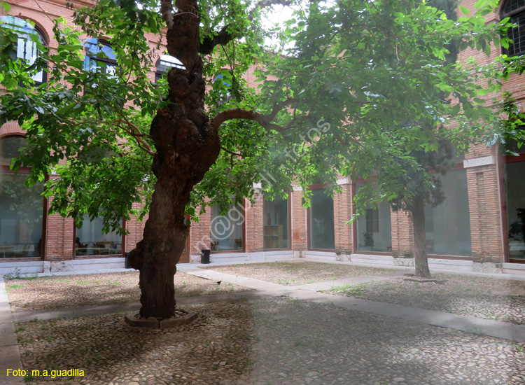 ALCALA DE HENARES (114) Colegio San Ciriaco y Sta Paula - Fac Filosofia