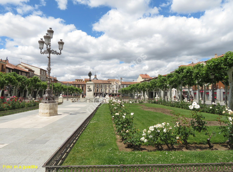 ALCALA DE HENARES (145) Plaza Cervantes