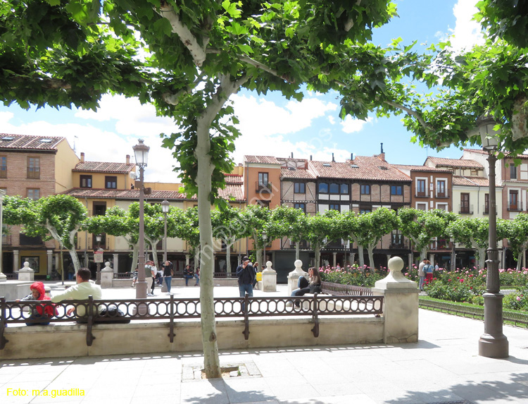 ALCALA DE HENARES (160) Plaza Cervantes