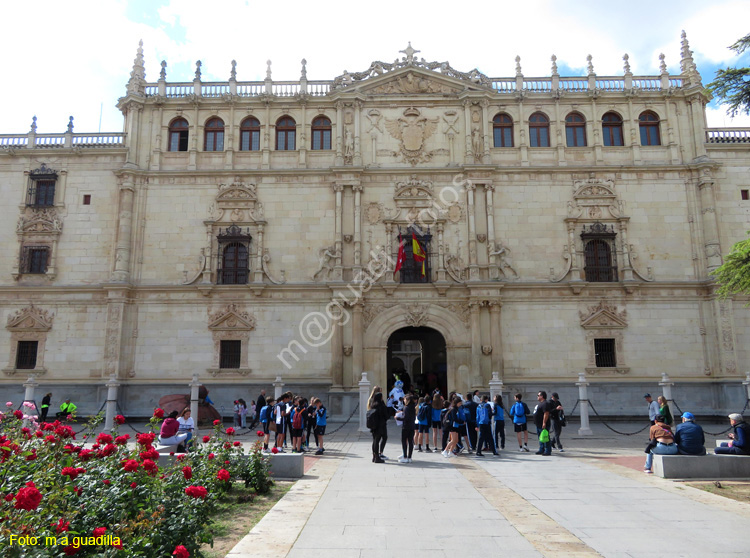 ALCALA DE HENARES (197) Universidad