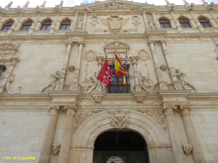 ALCALA DE HENARES (203) Universidad