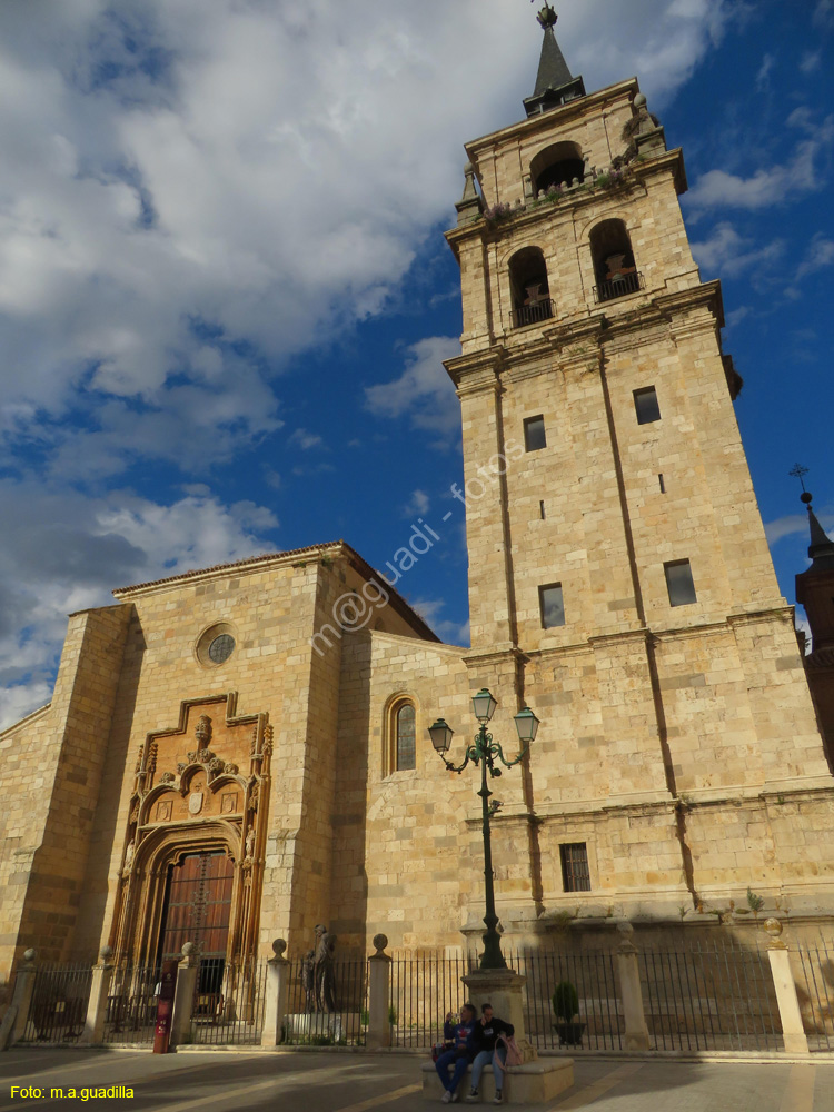 ALCALA DE HENARES (296) Catedral