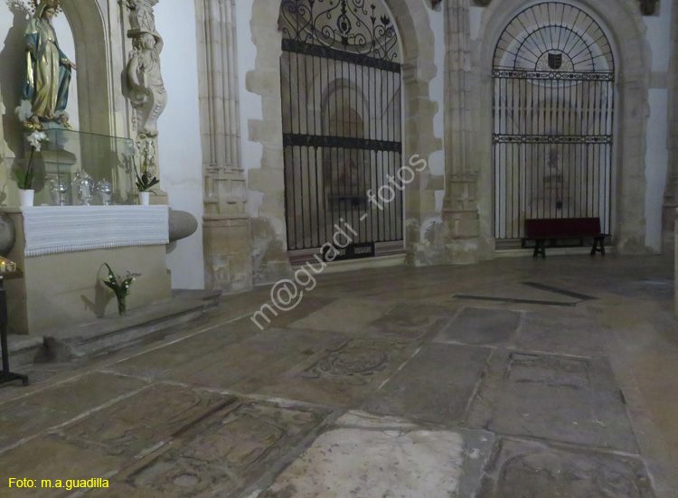 ALCALA DE HENARES (331) Catedral