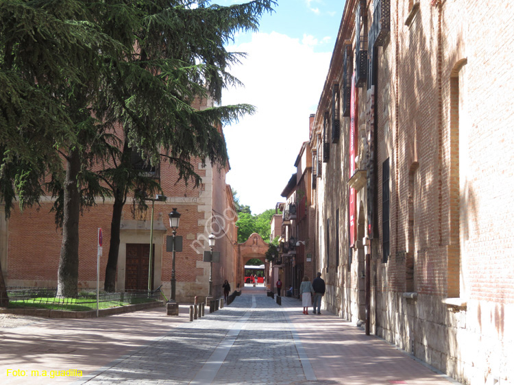 ALCALA DE HENARES (372) Arco de San Bernardo