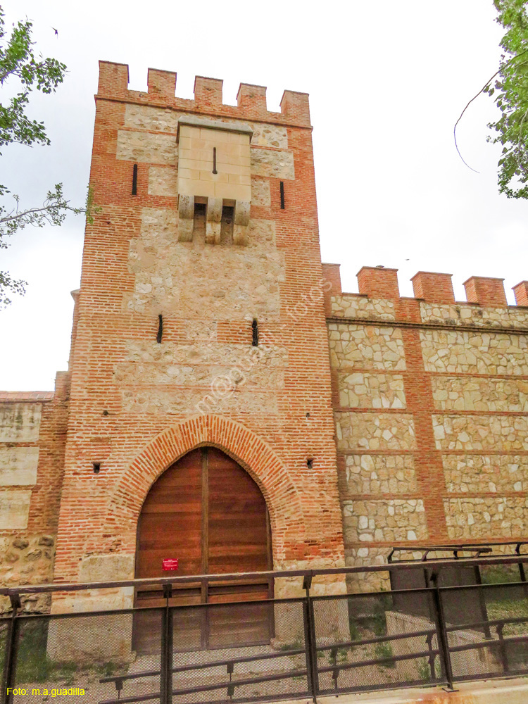 ALCALA DE HENARES (484) Puerta de la Torre