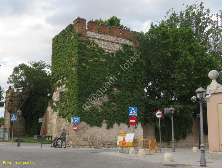 ALCALA DE HENARES (486) Muralla