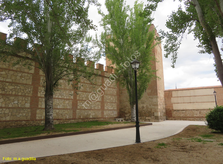 ALCALA DE HENARES (488) Muralla