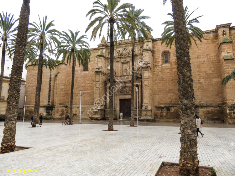 ALMERIA (110) Catedral de la Encarnacion