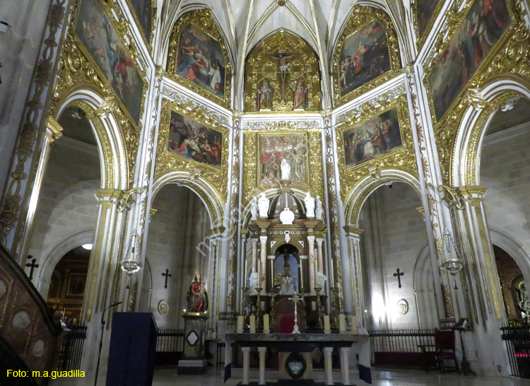 ALMERIA (125) Catedral de la Encarnacion