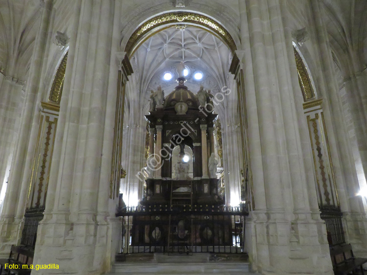 ALMERIA (153) Catedral de la Encarnacion