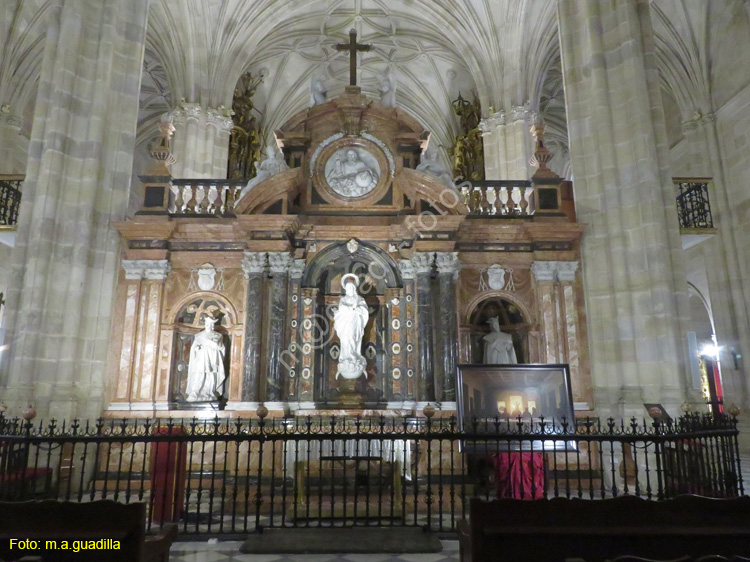 ALMERIA (156) Catedral de la Encarnacion