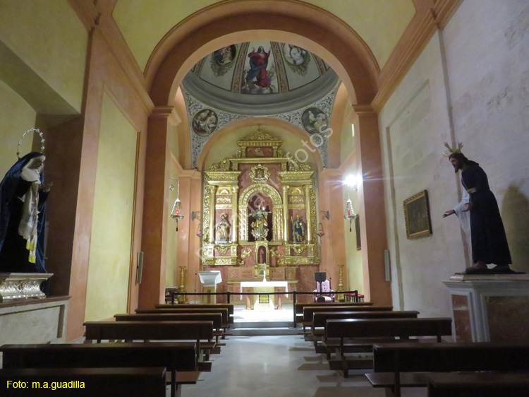 ALMERIA (158) Catedral de la Encarnacion
