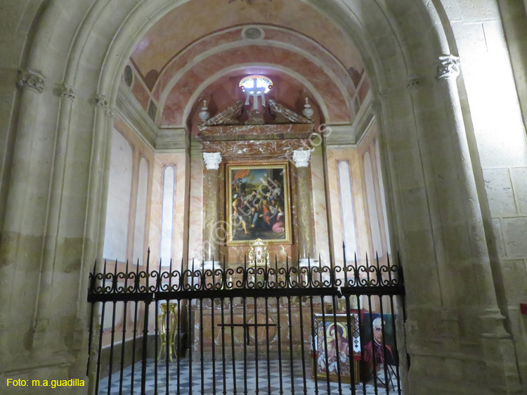 ALMERIA (163) Catedral de la Encarnacion