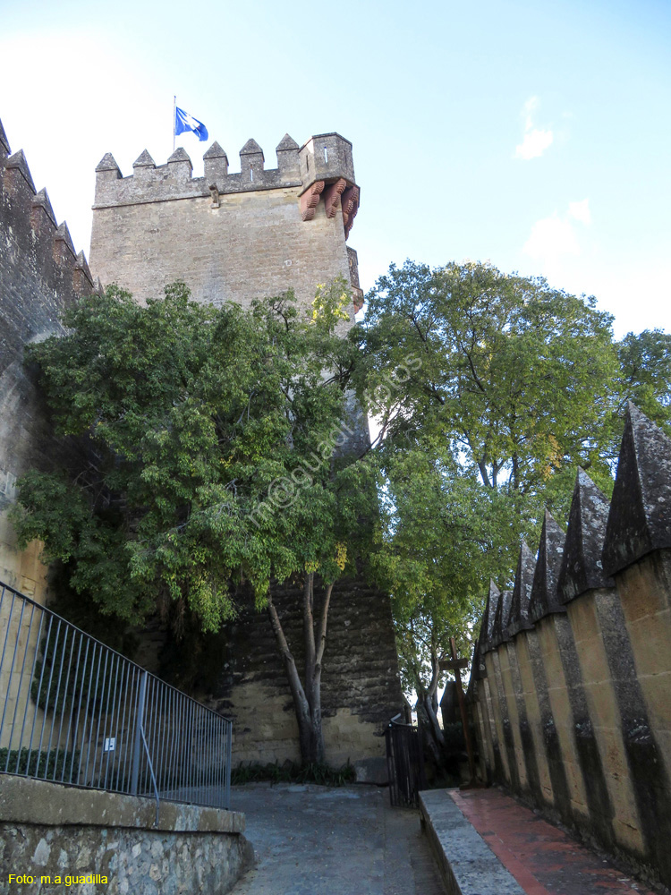 ALMODOVAR DEL RIO (103) Castillo