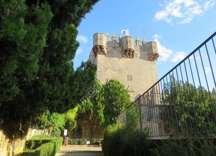 ALMODOVAR DEL RIO (106) Castillo
