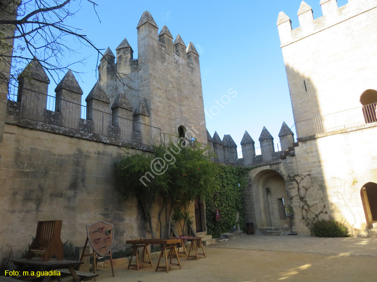 ALMODOVAR DEL RIO (124) Castillo