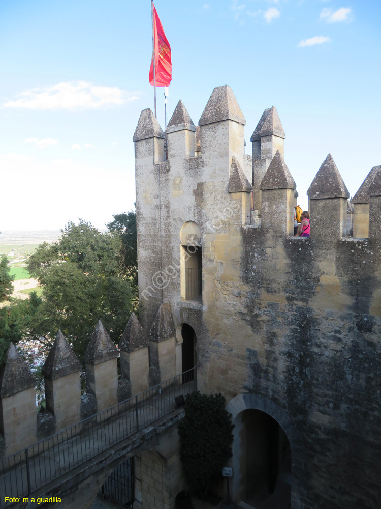 ALMODOVAR DEL RIO (135) Castillo