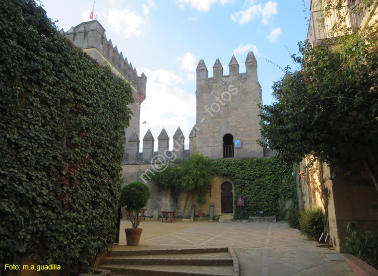 ALMODOVAR DEL RIO (141) Castillo