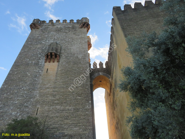 ALMODOVAR DEL RIO (148) Castillo