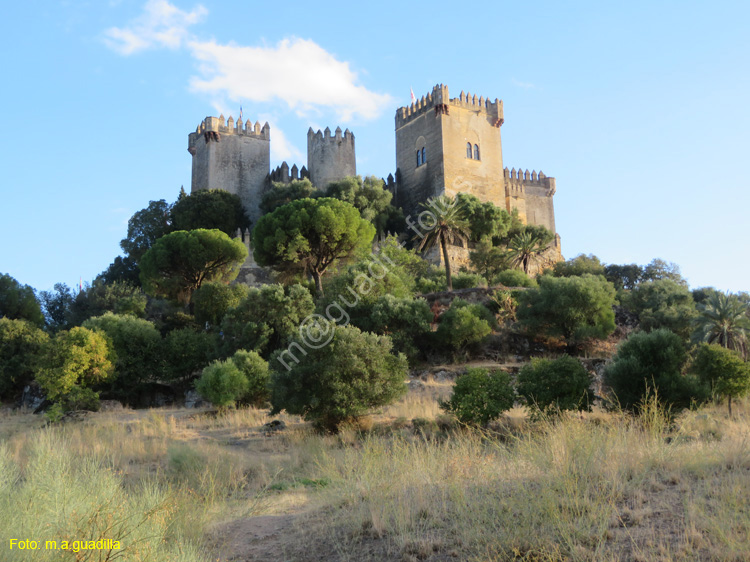 ALMODOVAR DEL RIO (149) Castillo