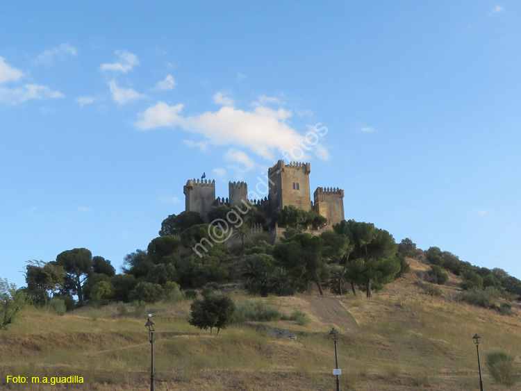 ALMODOVAR DEL RIO (150) Castillo