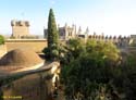 ALMODOVAR DEL RIO (130) Castillo
