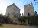 ALMODOVAR DEL RIO (142) Castillo