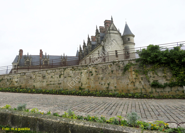 AMBOISE (102) Castillo Real